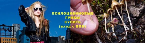 индика Магас