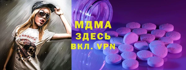 индика Магас