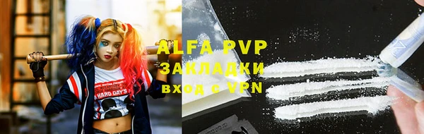 индика Магас