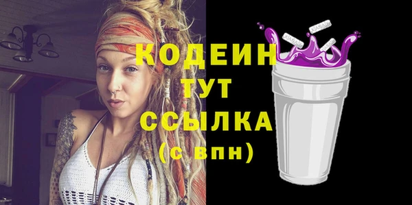 индика Магас