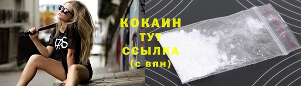 индика Магас
