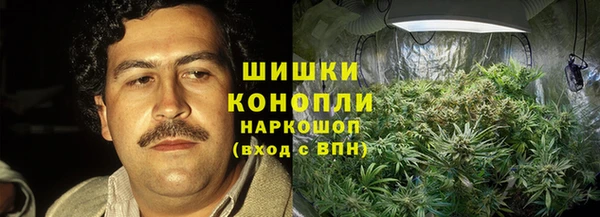 индика Магас