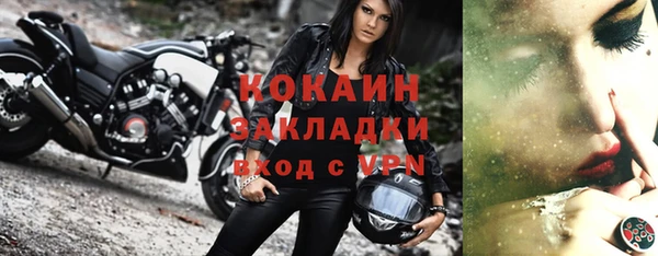 индика Магас