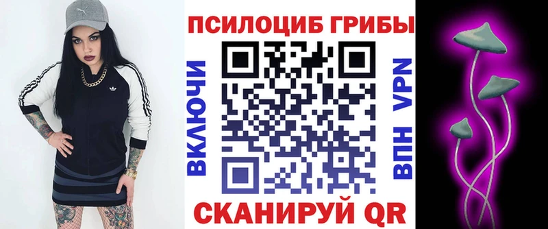 Купить закладки  Междуреченск  Псилоцибиновые грибы Psilocybe 